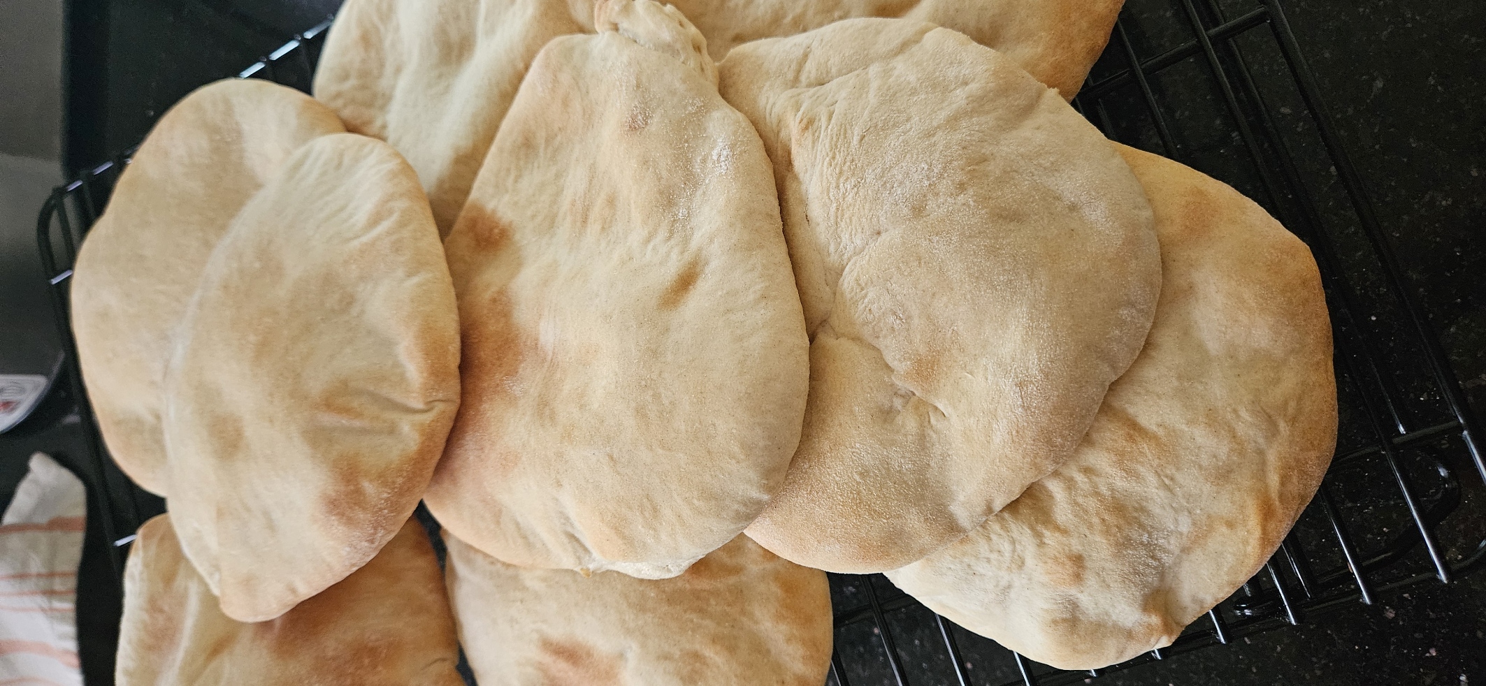 Pittas