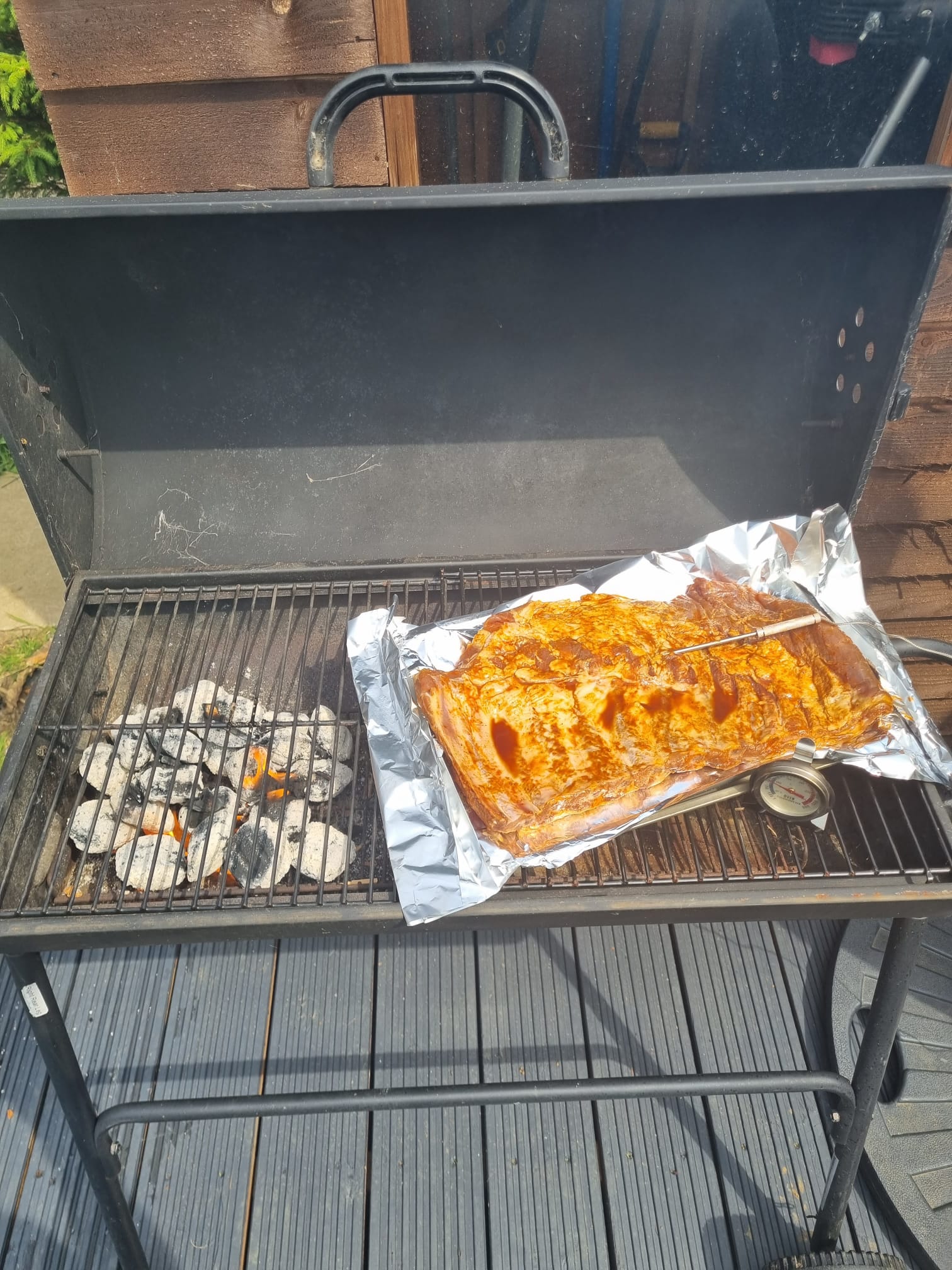 Smoked Pork Ribs with BBQ Mop